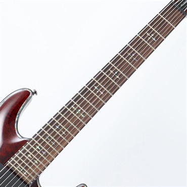 SCHECTER C-7 HellRaiser  [AD-C-7-HR] (BCH) 画像5