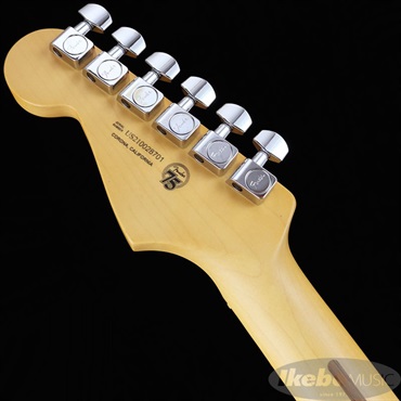 Fender USA American Professional II Stratocaster (Sienna Sunburst /Maple) 画像6