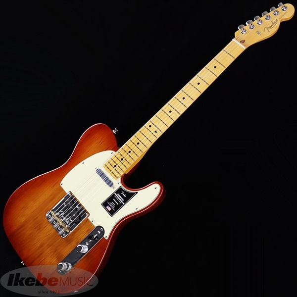 Fender American Professional2 Tele 新品 FENDER AP2 TELE DLX RW MERC – Motor City Guitar