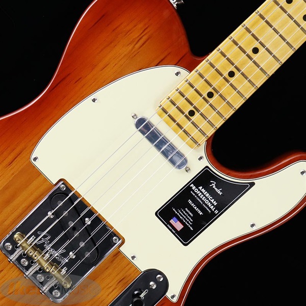 Fender USA American Professional II Telecaster (Sienna Sunburst