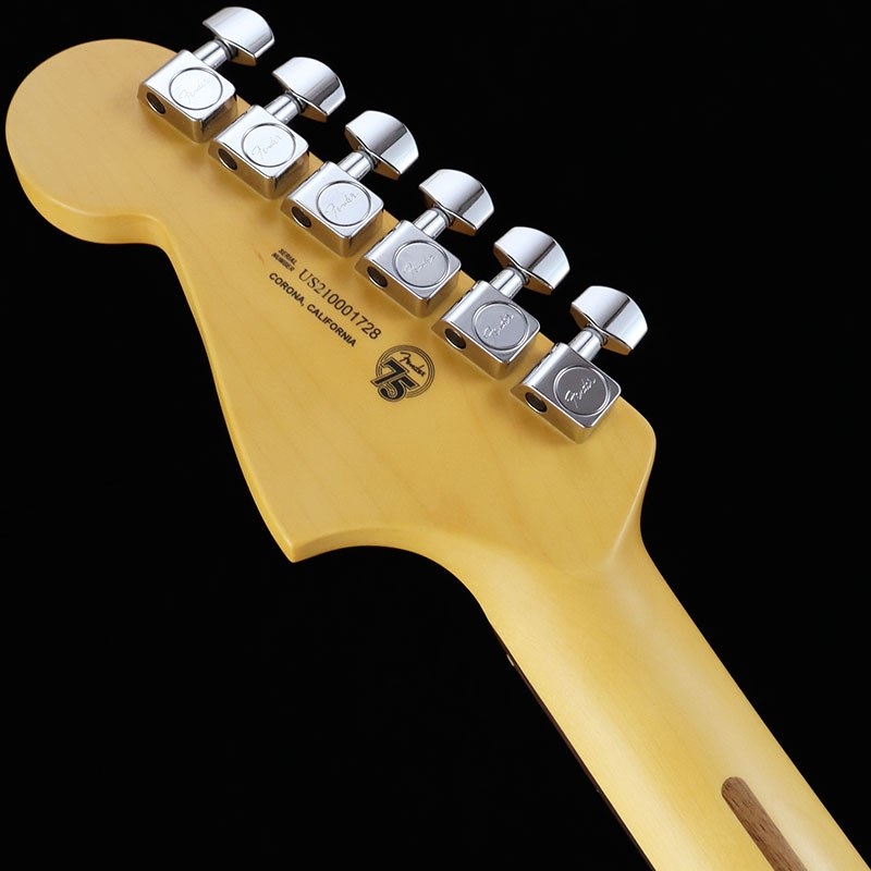 Fender USA American Professional II Jazzmaster (Mercury/Rosewood 