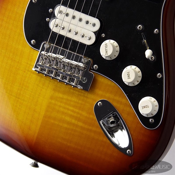 Fender MEX Player Stratocaster HSS Plus Top (Tobacco Sunburst/Pau Ferro) [Made In Mexico] 画像4