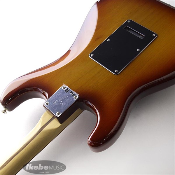Fender MEX Player Stratocaster HSS Plus Top (Tobacco Sunburst/Pau Ferro) [Made In Mexico] 画像6