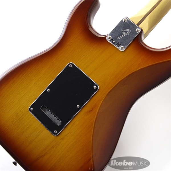 Fender MEX Player Stratocaster HSS Plus Top (Tobacco Sunburst/Pau Ferro) [Made In Mexico] 画像7