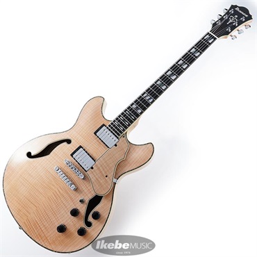 Ibanez ARTSTAR ASV113-RNT 【特価】 画像1