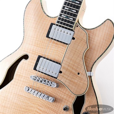Ibanez ARTSTAR ASV113-RNT 【特価】 画像3