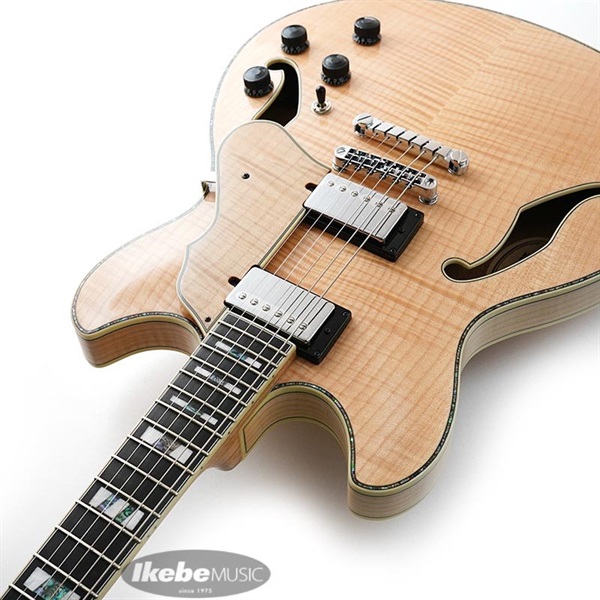 Ibanez ARTSTAR ASV113-RNT 【特価】 画像5