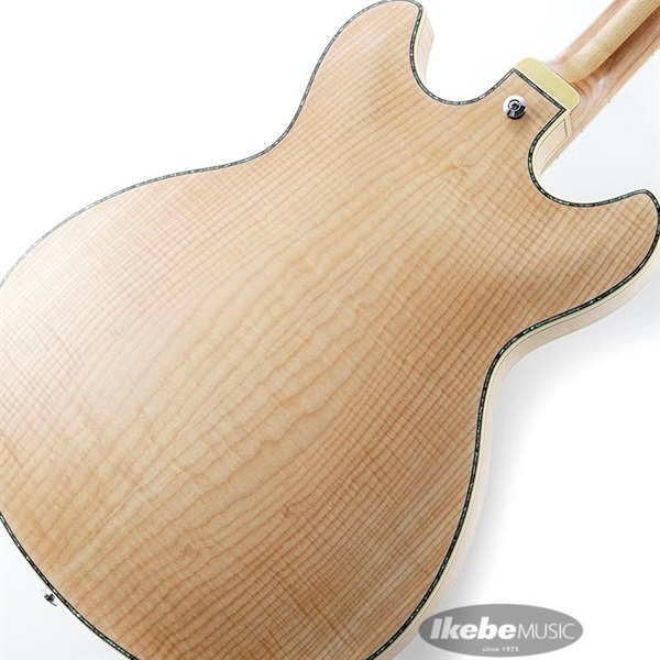 Ibanez ARTSTAR ASV113-RNT 【特価】 画像7