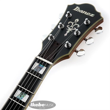Ibanez ARTSTAR ASV113-RNT 【特価】 画像8