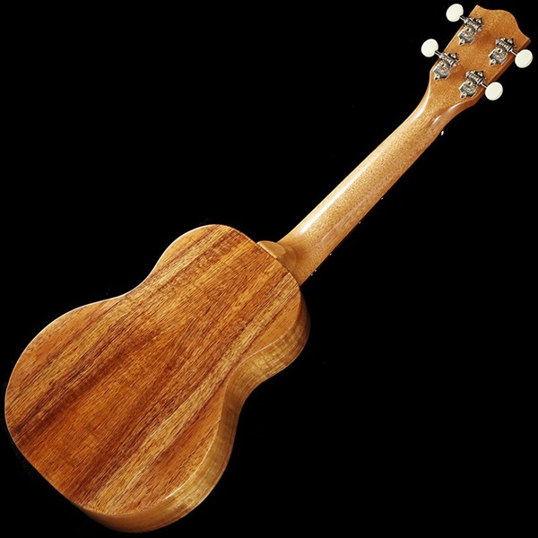 FUJIGEN FGN Acoustic FUS-TC [Concert] フジゲン 画像1