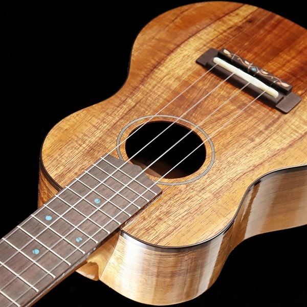 FUJIGEN FGN Acoustic FUS-TC [Concert] フジゲン 画像3