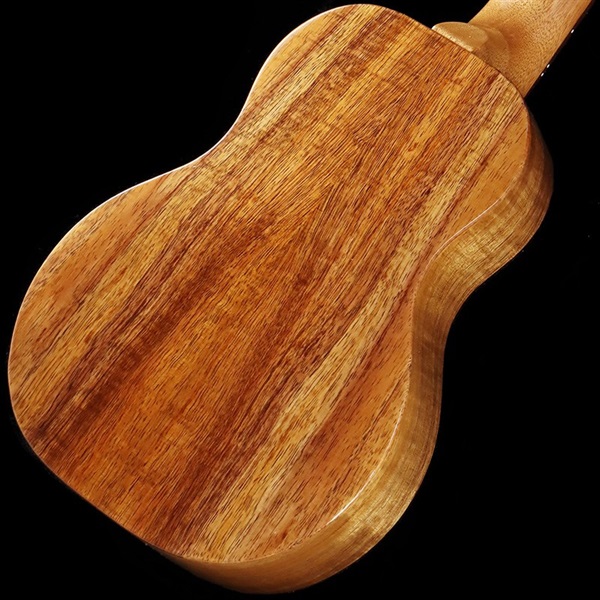 FUJIGEN FGN Acoustic FUS-TC [Concert] フジゲン 画像5