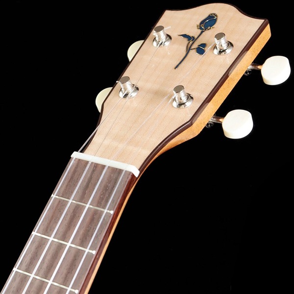 FUJIGEN FGN Acoustic FUS-TC [Concert] フジゲン 画像6