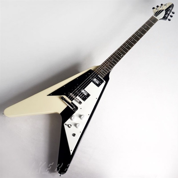 Edwards E-FV-125WB DOT 画像1