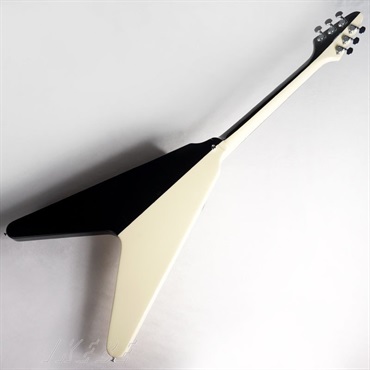 Edwards E-FV-125WB DOT 画像2