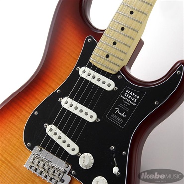 Fender MEX Player Stratocaster Plus Top (Aged Cherry Burst/Maple) [Made In Mexico] 画像3