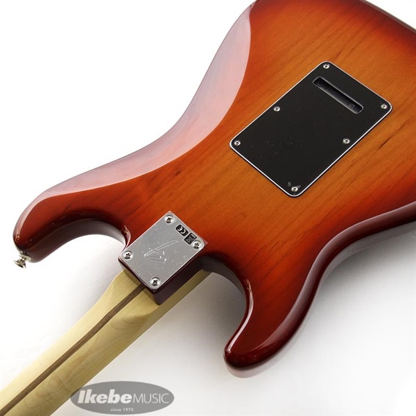 Fender MEX Player Stratocaster Plus Top (Aged Cherry Burst/Maple) [Made In Mexico] 画像6