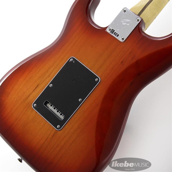 Fender MEX Player Stratocaster Plus Top (Aged Cherry Burst/Maple) [Made In Mexico] 画像7