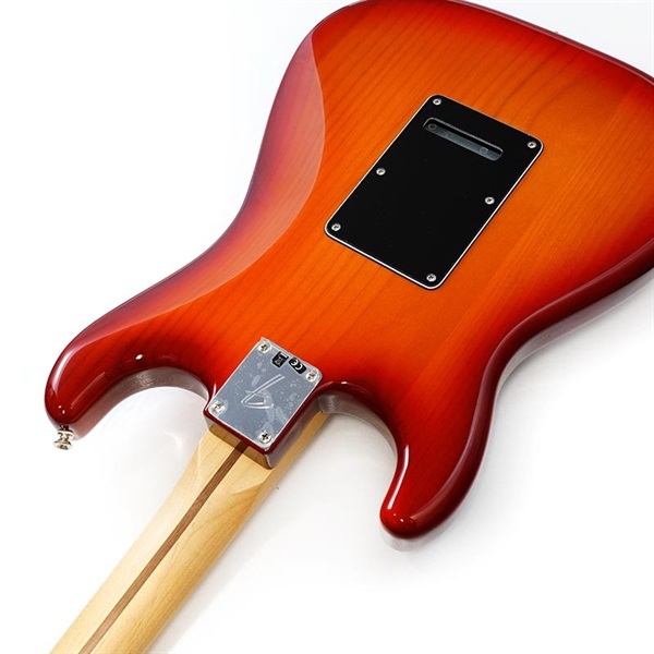 Fender MEX Player Stratocaster HSS Plus Top (Aged Cherry Burst/Maple) [Made In Mexico] 画像6