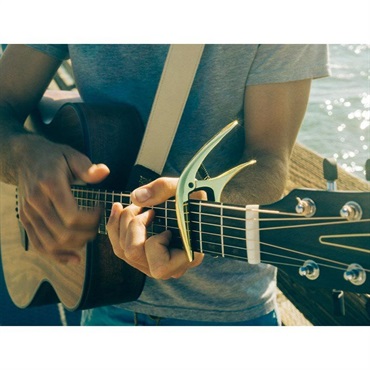 ERNIE BALL AXIS CAPO #9605 (ROSE GOLD SATIN) 画像1