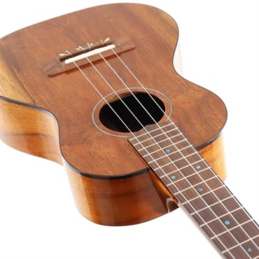 FUJIGEN FGN Acoustic Tenor FUS-TT フジゲン 画像3