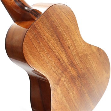 FUJIGEN FGN Acoustic Tenor FUS-TT フジゲン 画像4