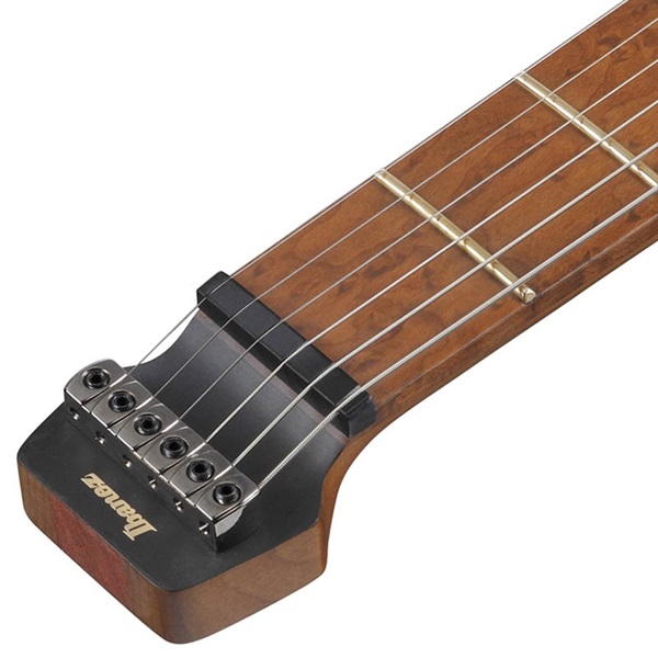 Ibanez Q52-LBM [SPOT MODEL] 画像4