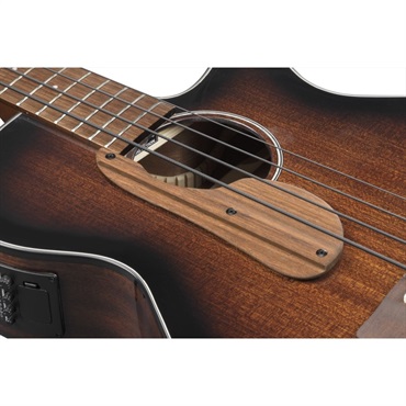 Ibanez AEGB24E-MHS 画像2
