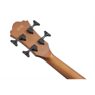 Ibanez AEGB24E-MHS 画像6