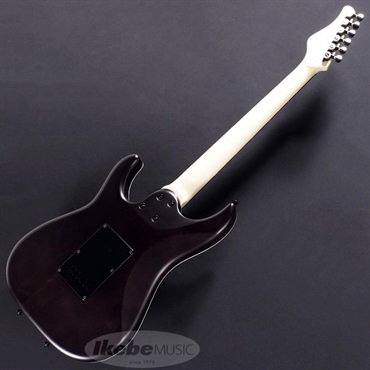 SCHECTER SD-2-24-MH-VTR Rosewood Top (RNT/R) 画像5