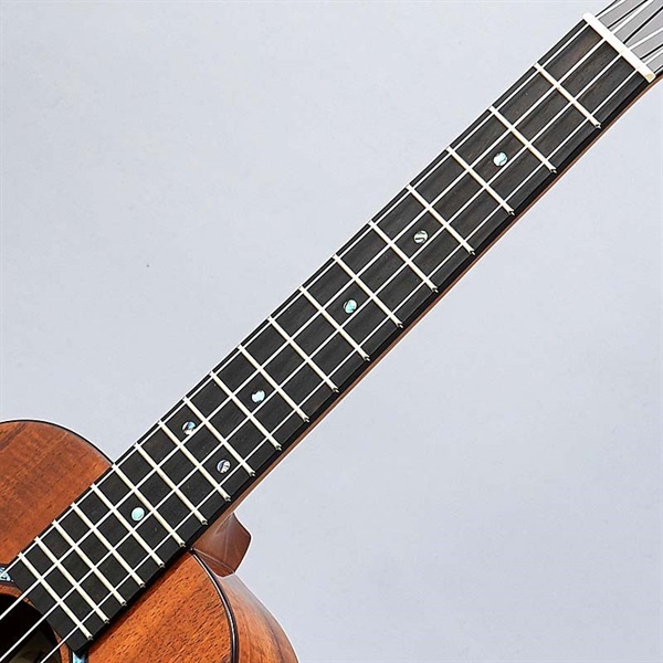 Kanile’a KPA Tenor Premium Gloss [KPAT/PG] カニレア 画像6