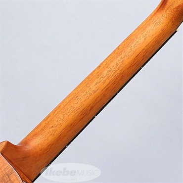 Kanile’a KPA Tenor Premium Gloss [KPAT/PG] カニレア 画像7