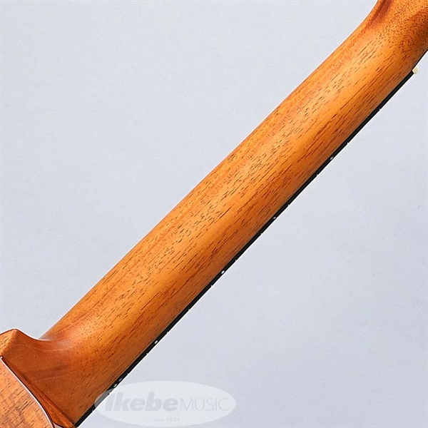Kanile’a KPA Tenor Premium Gloss [KPAT/PG] カニレア 画像7