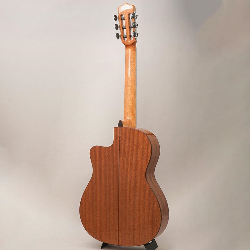 Cordoba Fusion 5 Natural ｜イケベ楽器店オンラインストア