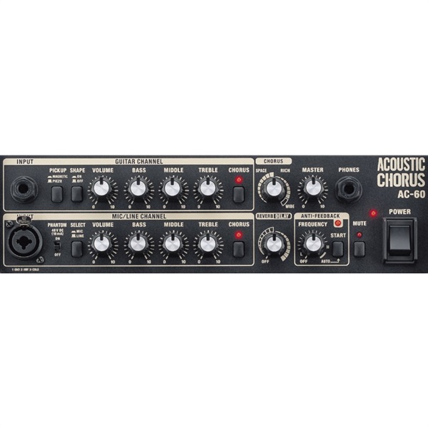 Roland AC-60 RW [Acoustic Chorus] ローランド 画像2