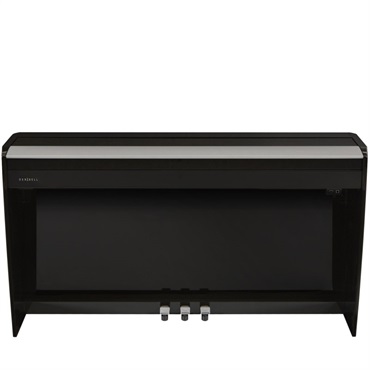 DEXIBELL VIVO H10 Black Polished (送料別途お見積もり/代引き不可) 画像3
