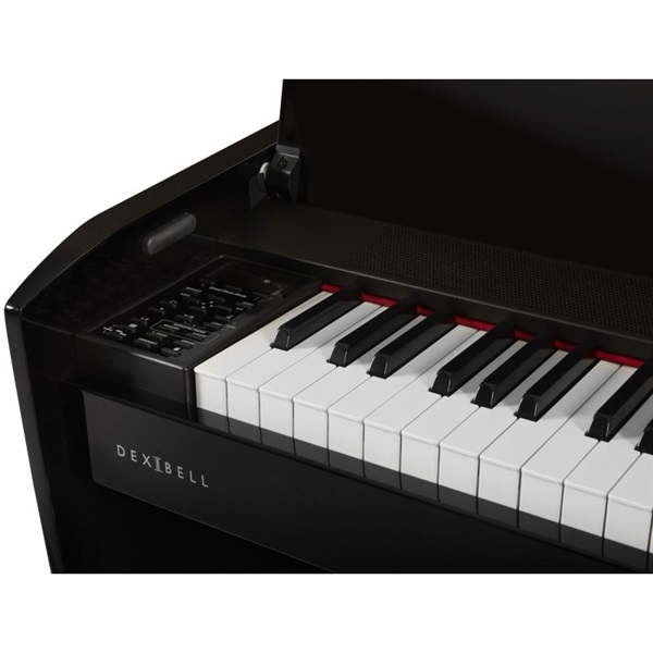 DEXIBELL VIVO H10 Black Polished (送料別途お見積もり/代引き不可) 画像4