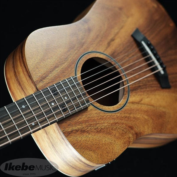 TAYLOR Baby Taylor-e Koa [BT-1e Koa] 【特価】 ｜イケベ楽器店
