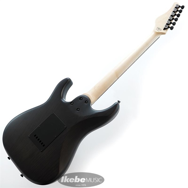 SCHECTER [※お取り寄せ商品] SD-2-24-AL Rosewood/See-thru Red