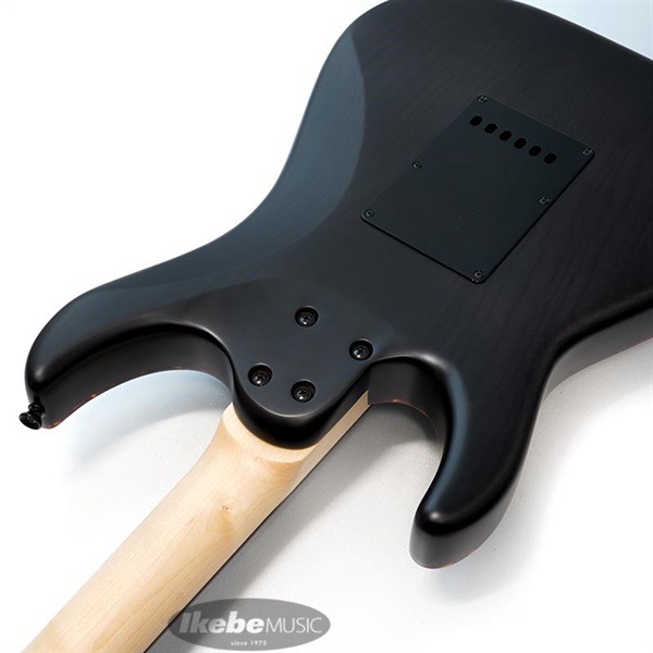 SCHECTER SD-2-24-AS-VTR-BR (SCB/R) [SPOT MODEL] 画像6