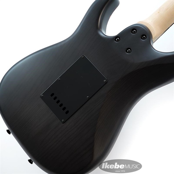SCHECTER SD-2-24-AS-VTR-BR (SCB/R) [SPOT MODEL] 画像7