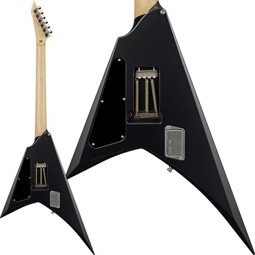 ESP ALEXI RIPPED [Alexi Laiho Model] 【受注生産品】 画像1