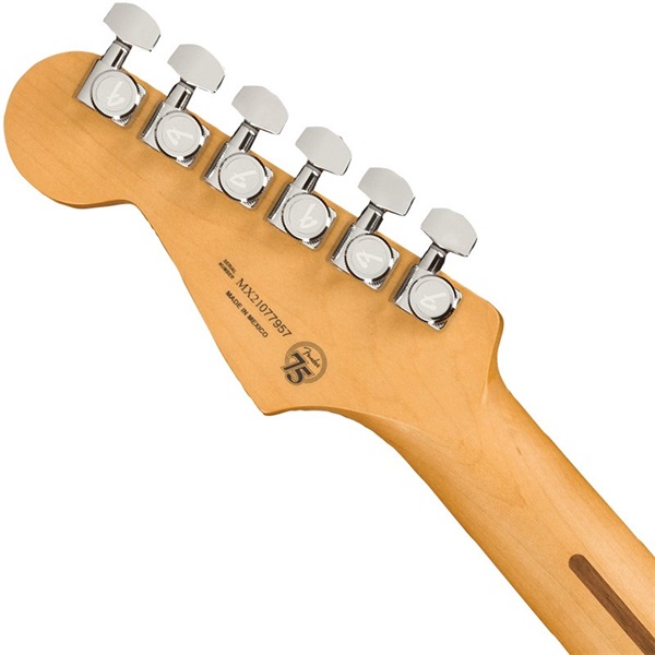 Fender MEX Player Plus Stratocaster (Tequila Sunrise/Maple) 画像5
