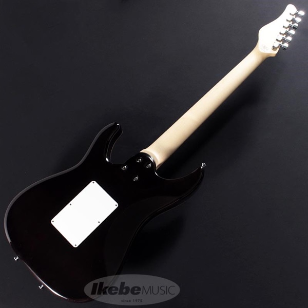 SCHECTER SD-2-24-AL (Amber/Maple) ｜イケベ楽器店オンラインストア