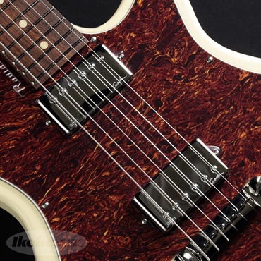 Godin Radiator (Trans Cream) 画像3