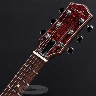 Godin Radiator (Trans Cream) 画像4