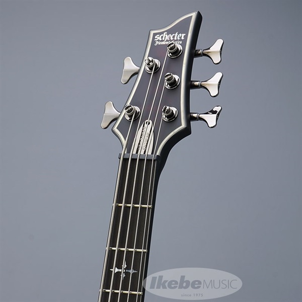 SCHECTER Hellraiser Extreme-5 [AD-HR-EX-BASS-5] (CRBS) 画像7
