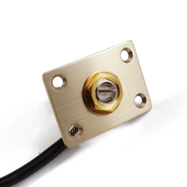 P.R.S. Output Jack (Gold/Hybrid) 画像1