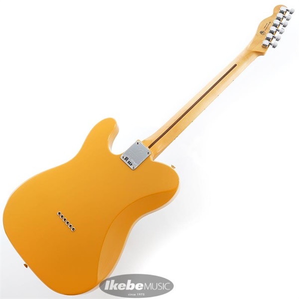 Fender MEX Player Plus Nashville Telecaster (Butterscotch Blonde/Maple) 画像2