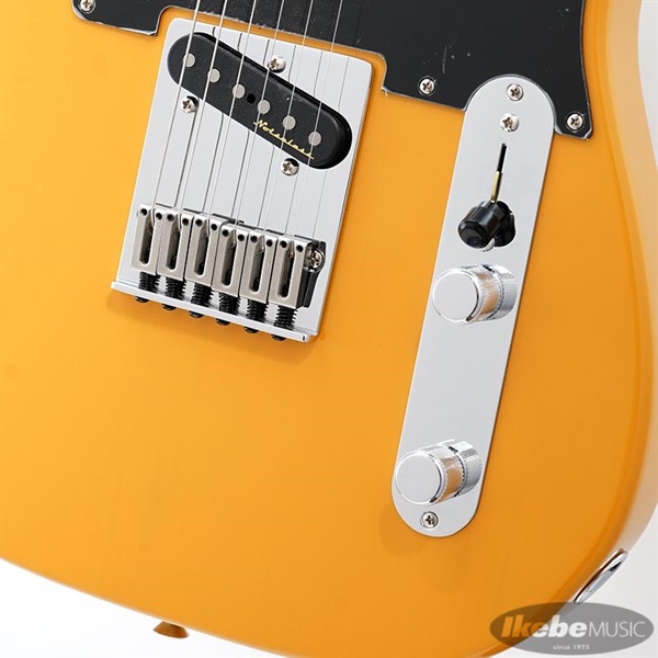 Fender MEX Player Plus Nashville Telecaster (Butterscotch Blonde/Maple) 画像4